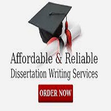 professional dissertation writer